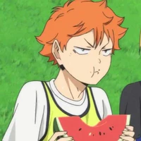 Hinata Shoyo