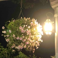 Zen’in Shidozu/Karasuma Itoshi