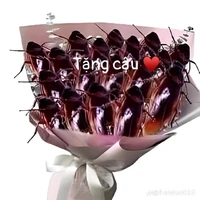 t/g bị khìn dai đoạn cuối