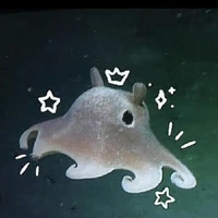 kou :>