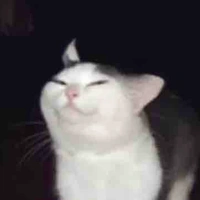 Tác giả phê đá