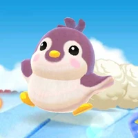 Suri
