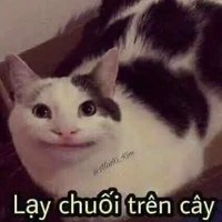 Cuti phô mai que đang iu nhứt vũ trụ😍😘