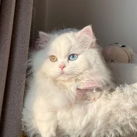 T/g vợ Rei-sann💖🌷🔥💦