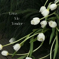 Tác giả là nhỏ viết truyện á