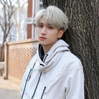 Nghiêm Hạo Tường