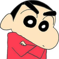 shin