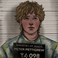 Peter Pettigrew