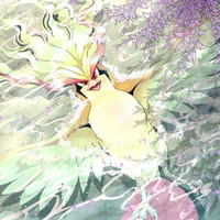 Pigeott_Yoshiko
