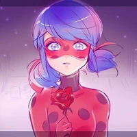 Ladybug