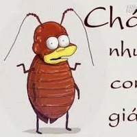 con gián