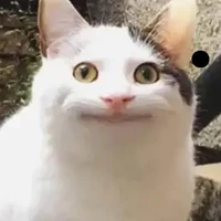 tất cả