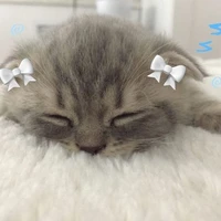 Sweet.Yanziee