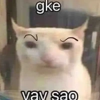 cân mọi nv