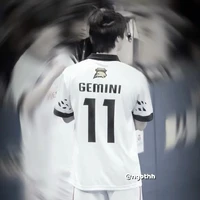 gemini* anh*