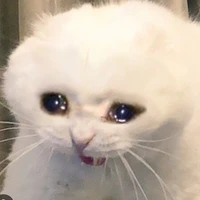 T/g