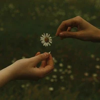 Nhiều nhân vật