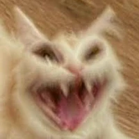 khùng khùng điên điên