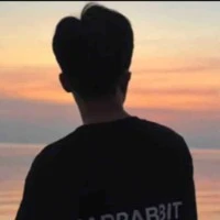 VNhân