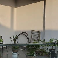 Nhân vật phụ