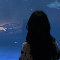 Lê Thị Mộng Như (Em)