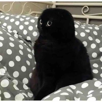 ?