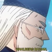 Wahlberg baigan