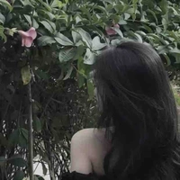 Quỳnh Anh