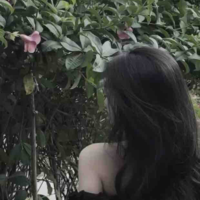Quỳnh Anh