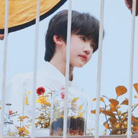 Trương Dịch Nhiên
