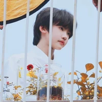 Trương Dịch Nhiên