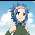 levy