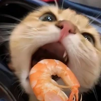 Các bé Bọttom