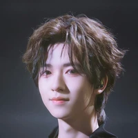 Hạ Tuấn Lâm