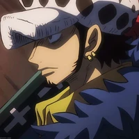 Trafalgar D Water Law