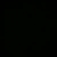 NV Phụ (số nhiều)