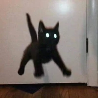 mèo méo meo