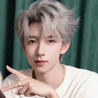 Hạ Tuấn Lâm