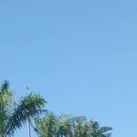 GV Hóa