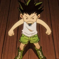 Gon Freecss