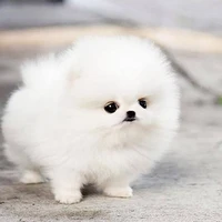 năm THK bạn thân 