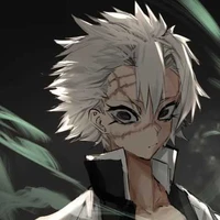 shinazugawa Sanemi