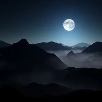 tất cả mọi người