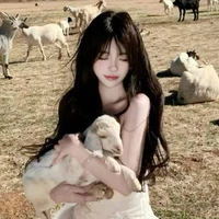 Hàn Lục Anh