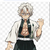 Shinazugawa Sanemi
