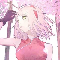 Sakura