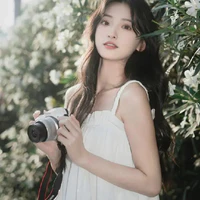 Phạm Hồng Anh