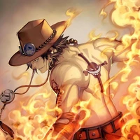 Pogast D Ace