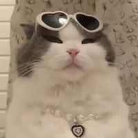 Dã Cô Nương