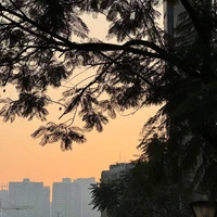 Tác giả